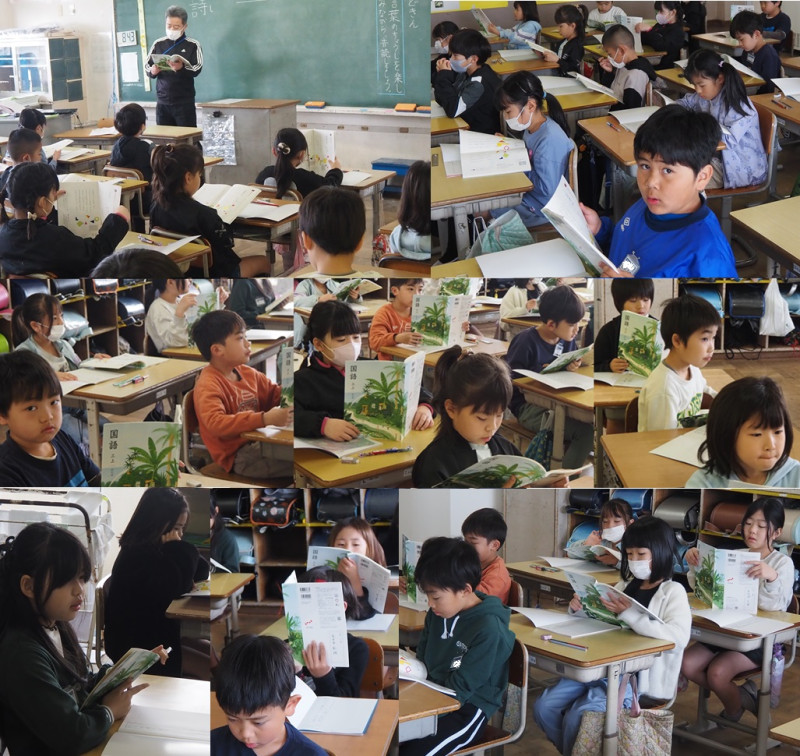 33国語